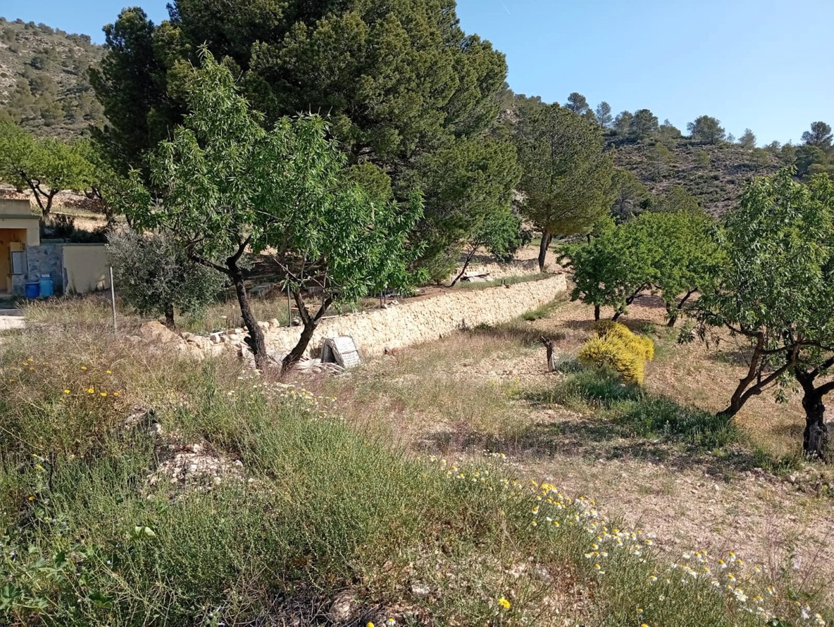 Se vende Casa Cueva de 2 dormitorios en Costa Blanca, Alicante, España