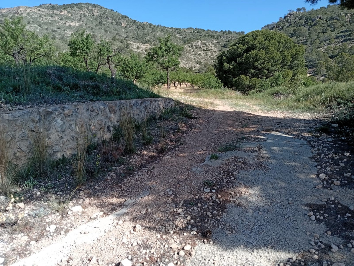 Se vende Casa Cueva de 2 dormitorios en Costa Blanca, Alicante, España
