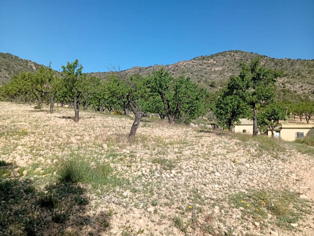 Se vende Casa Cueva de 2 dormitorios en Costa Blanca, Alicante, España