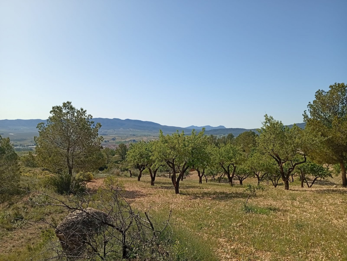 Se vende Casa Cueva de 2 dormitorios en Costa Blanca, Alicante, España
