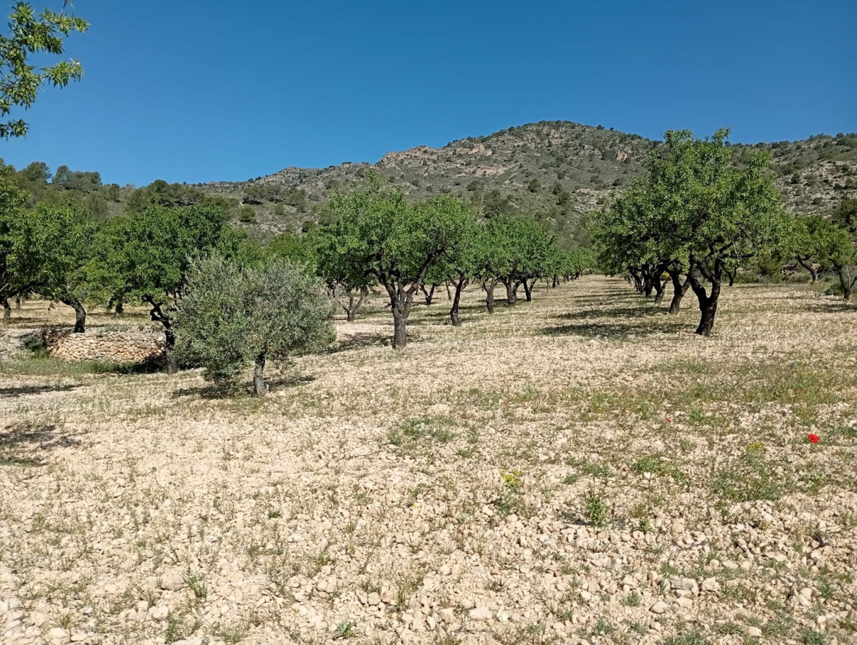 Se vende Casa Cueva de 2 dormitorios en Costa Blanca, Alicante, España