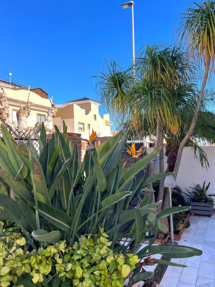 4 Bed Townhouse for sale in Torre De La Horadada Costa Blanca, Alicante, Spain