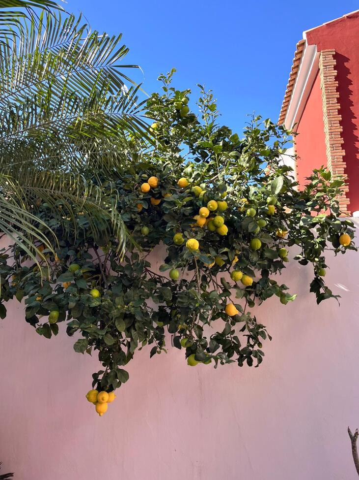 4 Bed Townhouse for sale in Torre De La Horadada Costa Blanca, Alicante, Spain