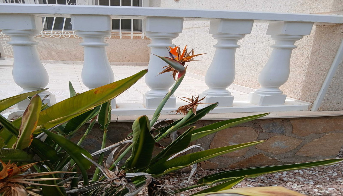 Se vende Villa - Chalet de 3 dormitorios en Costa Blanca, Alicante, España