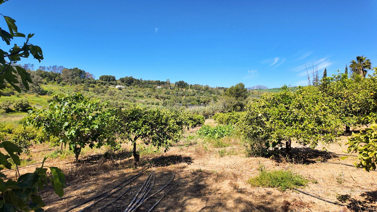 Se vende Finca - Cortijo de 3 dormitorios en Costa Del Sol, Málaga, España