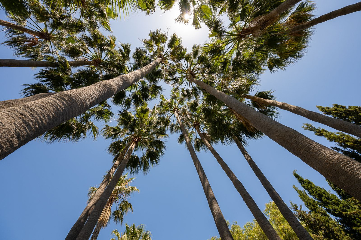 Se vende Villa - Chalet de 7 dormitorios en Costa Del Sol, Málaga, España