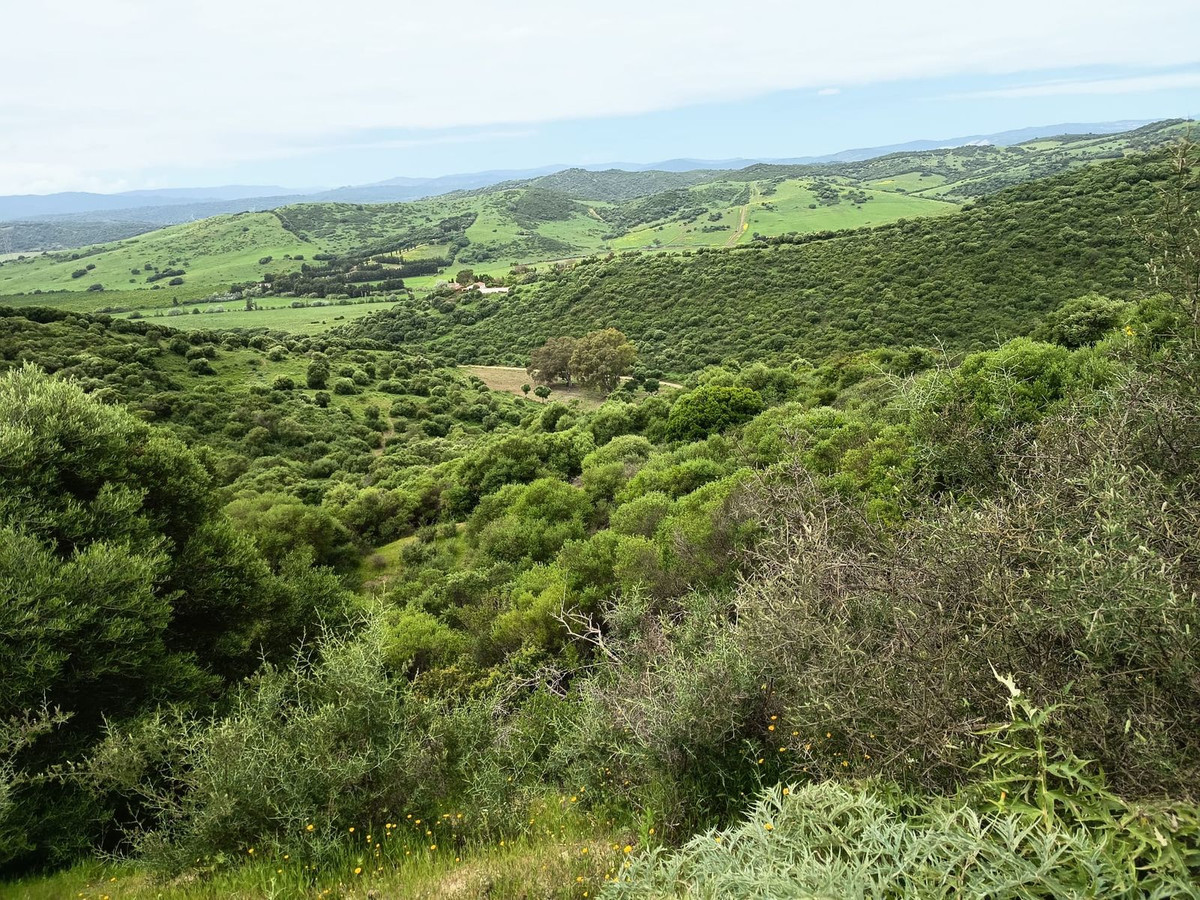 Se vende Terreno Rustico  en Costa Del Sol, Cadiz, España