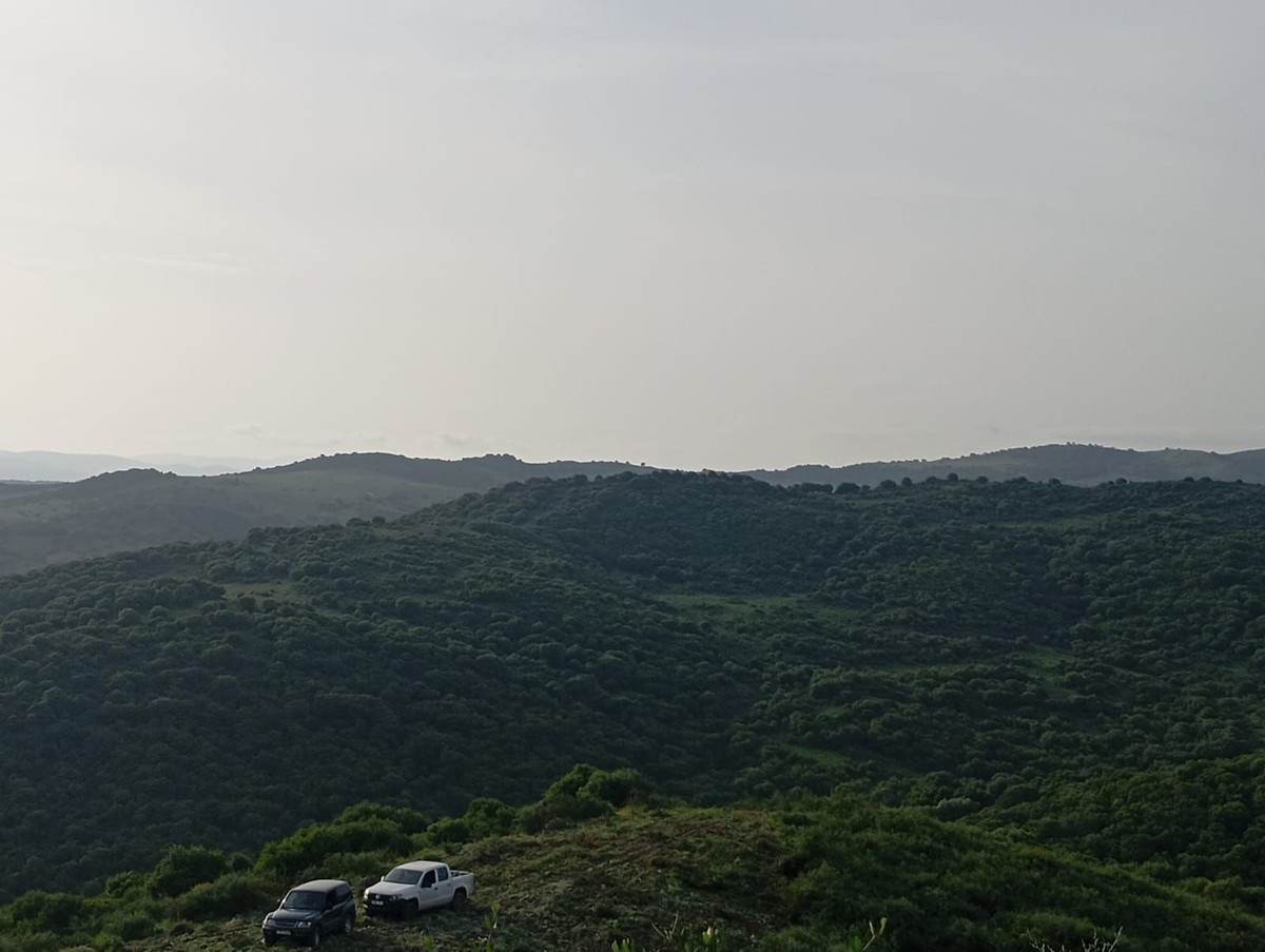 Se vende Terreno Rustico  en Costa Del Sol, Cadiz, España