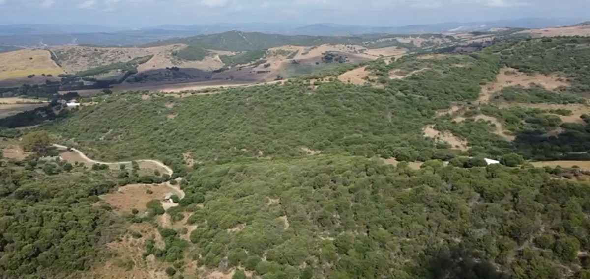 Se vende Terreno Rustico  en Costa Del Sol, Cadiz, España