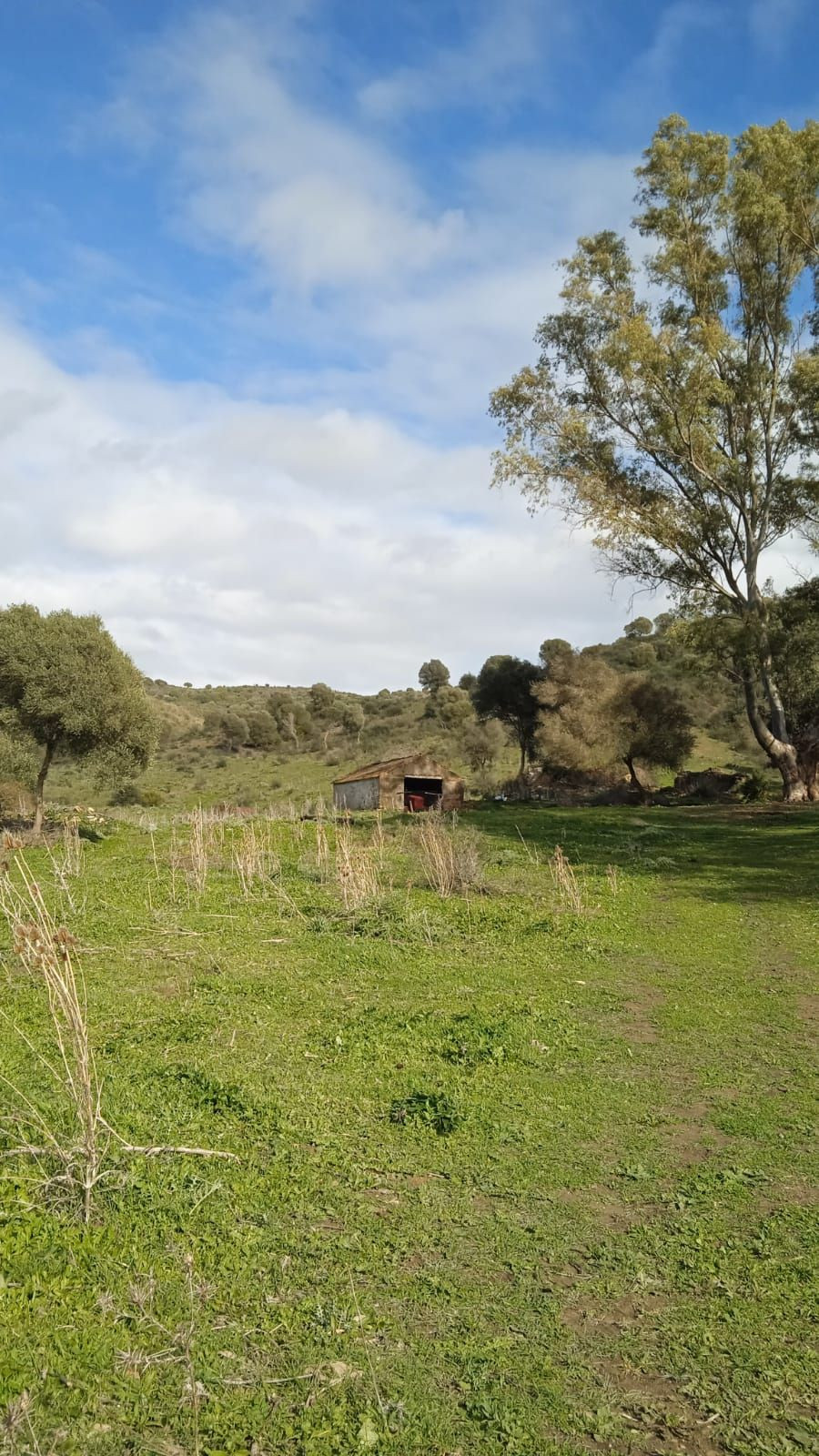 Se vende Terreno Rustico  en Costa Del Sol, Cadiz, España