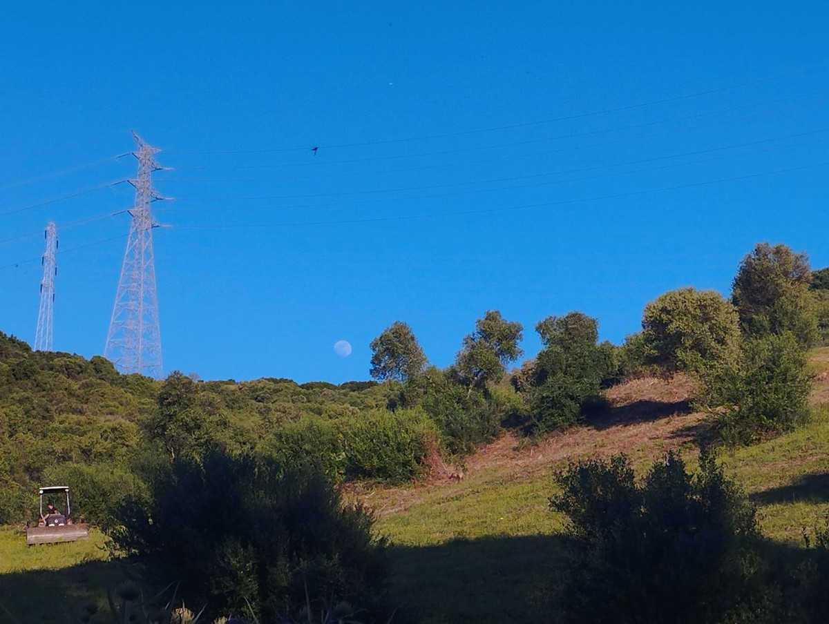 Se vende Terreno Rustico  en Costa Del Sol, Cadiz, España