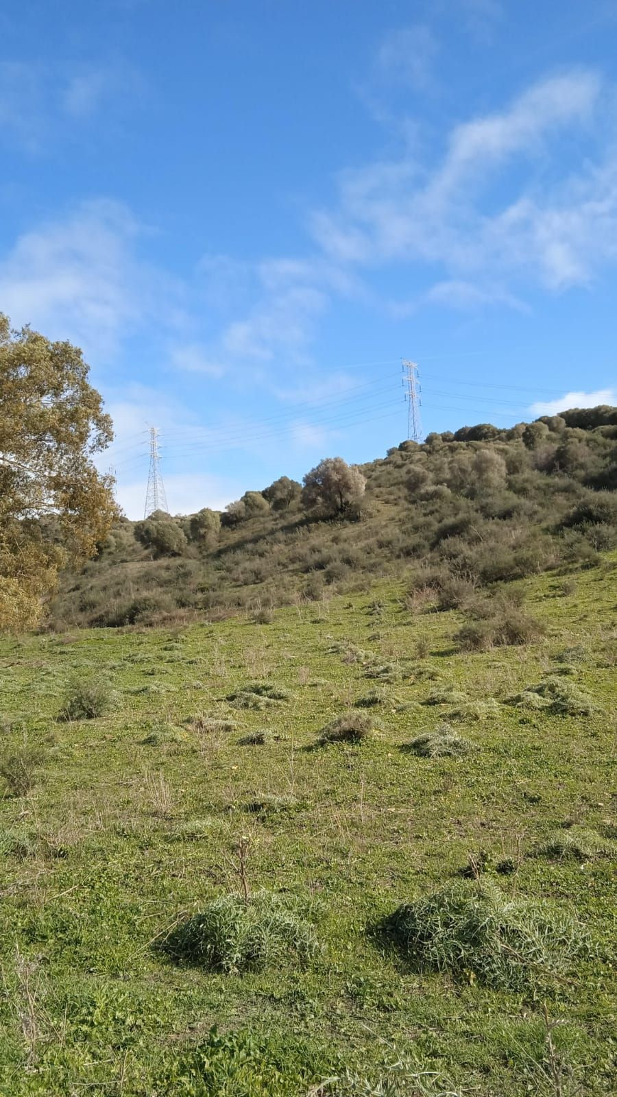 Se vende Terreno Rustico  en Costa Del Sol, Cadiz, España