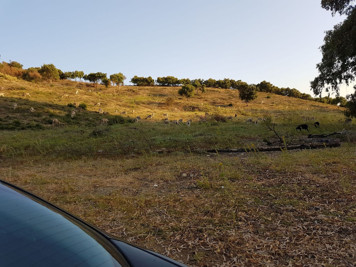 Se vende Terreno Rustico  en Costa Del Sol, Cadiz, España