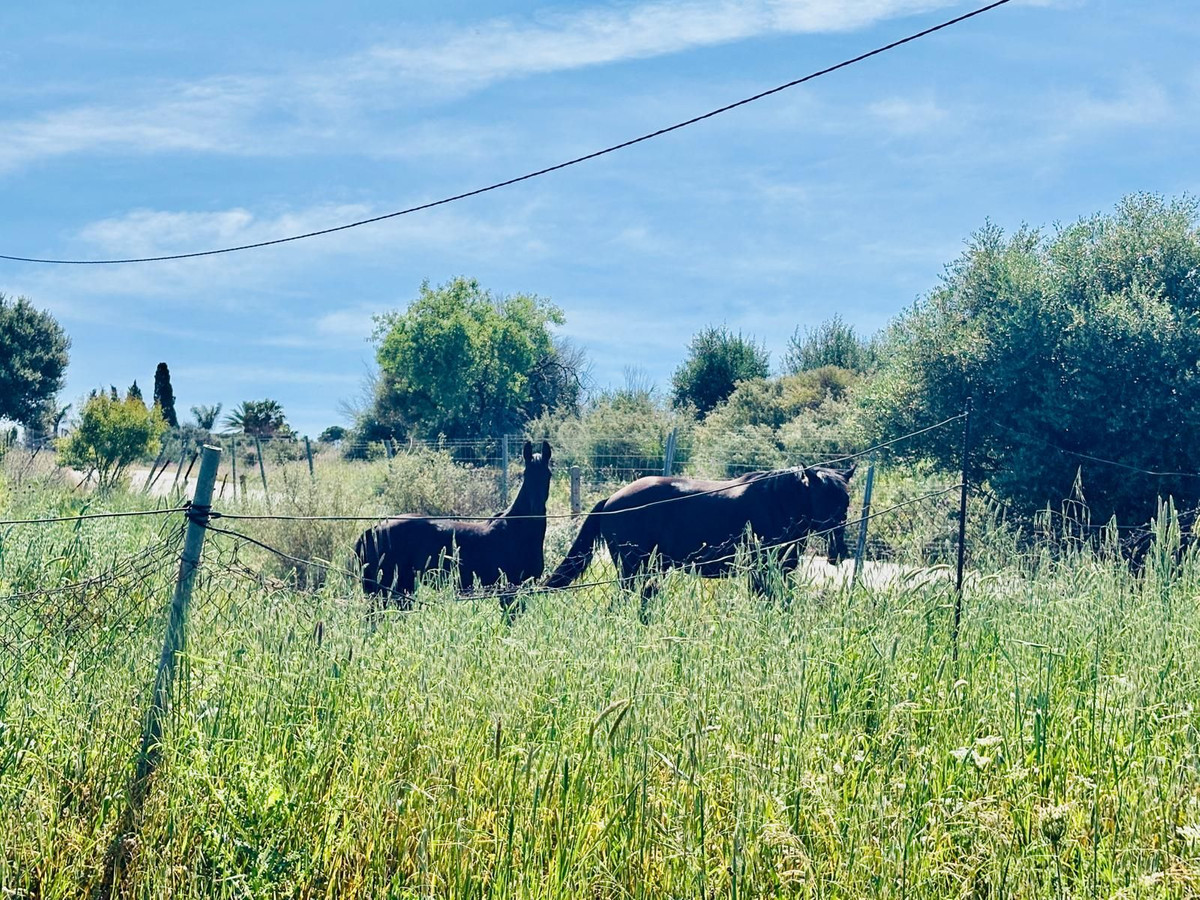 Plots for sale in Estepona Costa Del Sol, Málaga, Spain