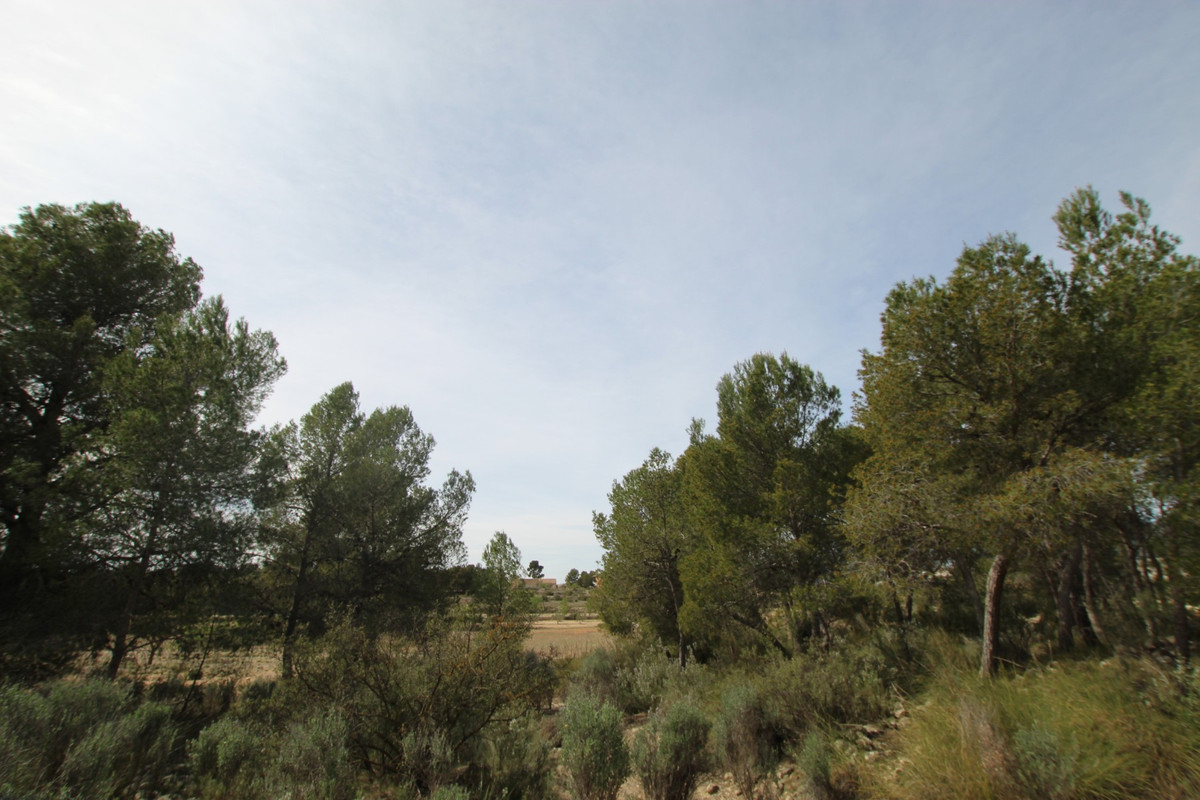Se vende Finca - Cortijo de 1 dormitorios en Costa Blanca, Alicante, España