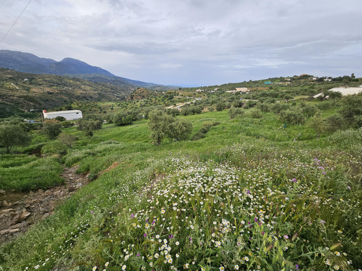 Plots for sale in Tolox Costa Del Sol, Málaga, Spain