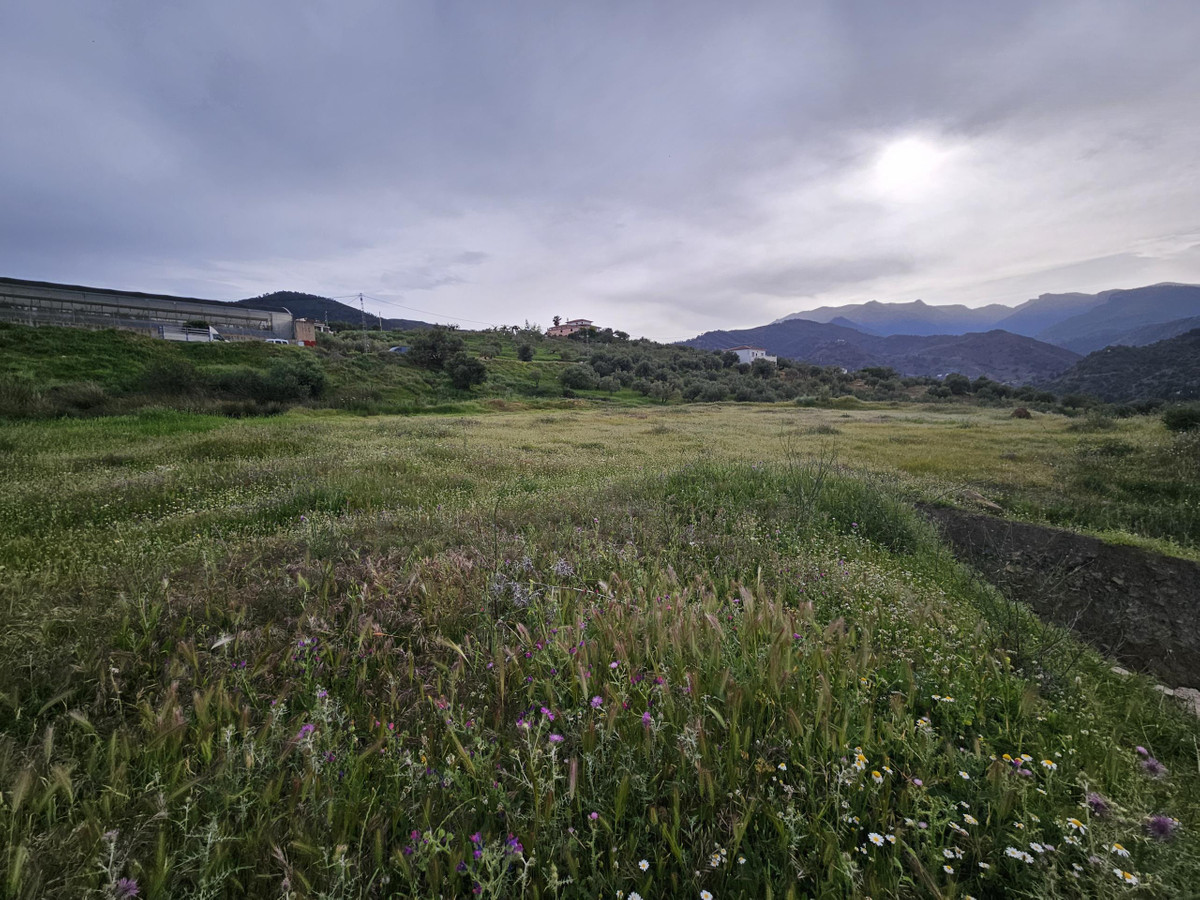 Plots for sale in Tolox Costa Del Sol, Málaga, Spain