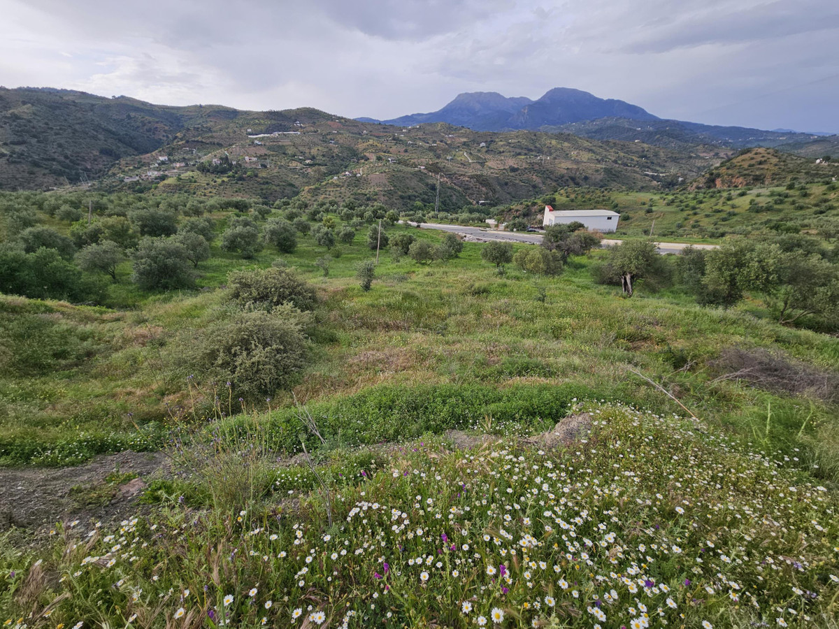 Plots for sale in Tolox Costa Del Sol, Málaga, Spain