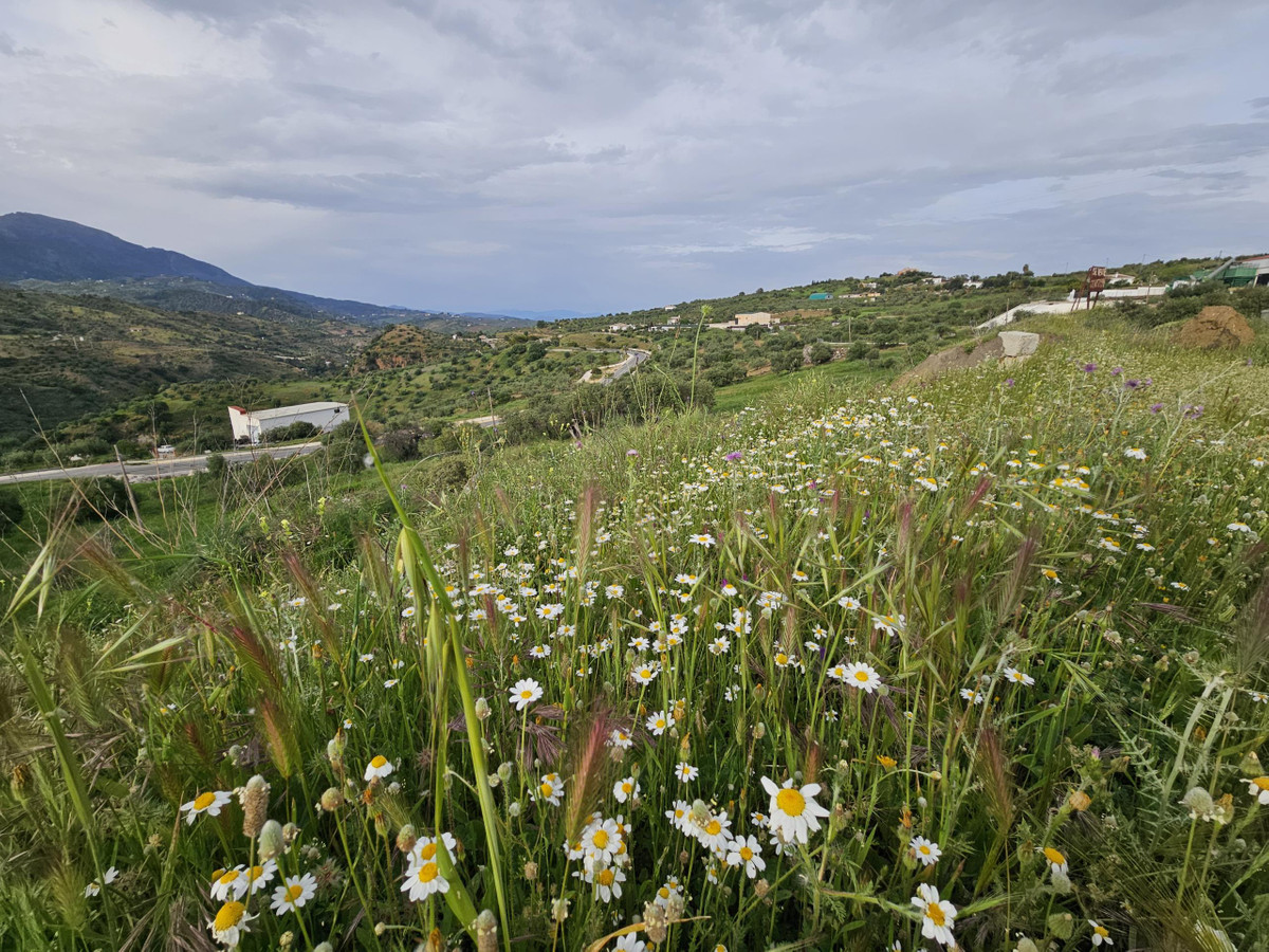 Plots for sale in Tolox Costa Del Sol, Málaga, Spain