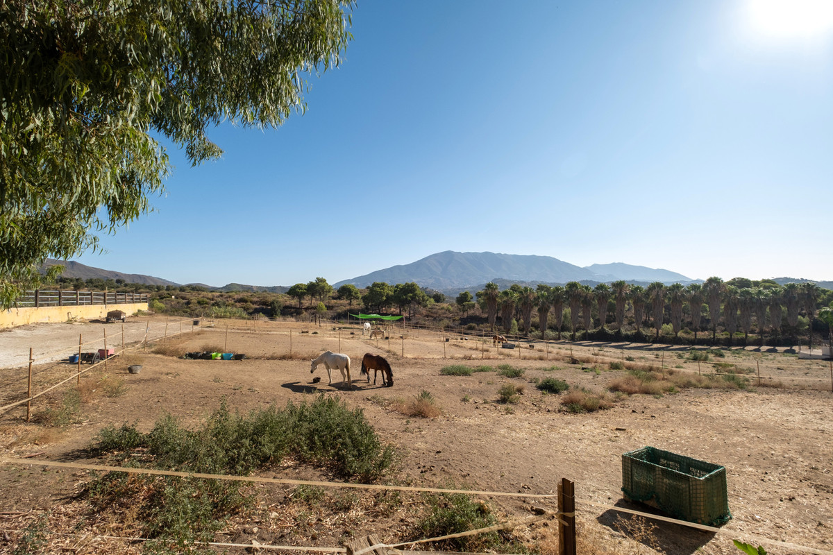 Se vende Finca - Cortijo de 6 dormitorios en Costa Del Sol, Málaga, España