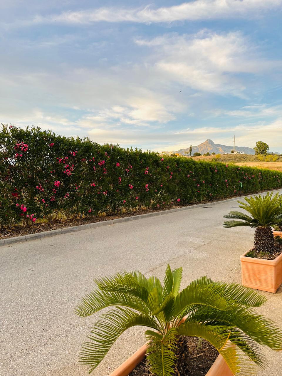 3 Bed Townhouse for sale in Nueva Andalucía Costa Del Sol, Málaga, Spain