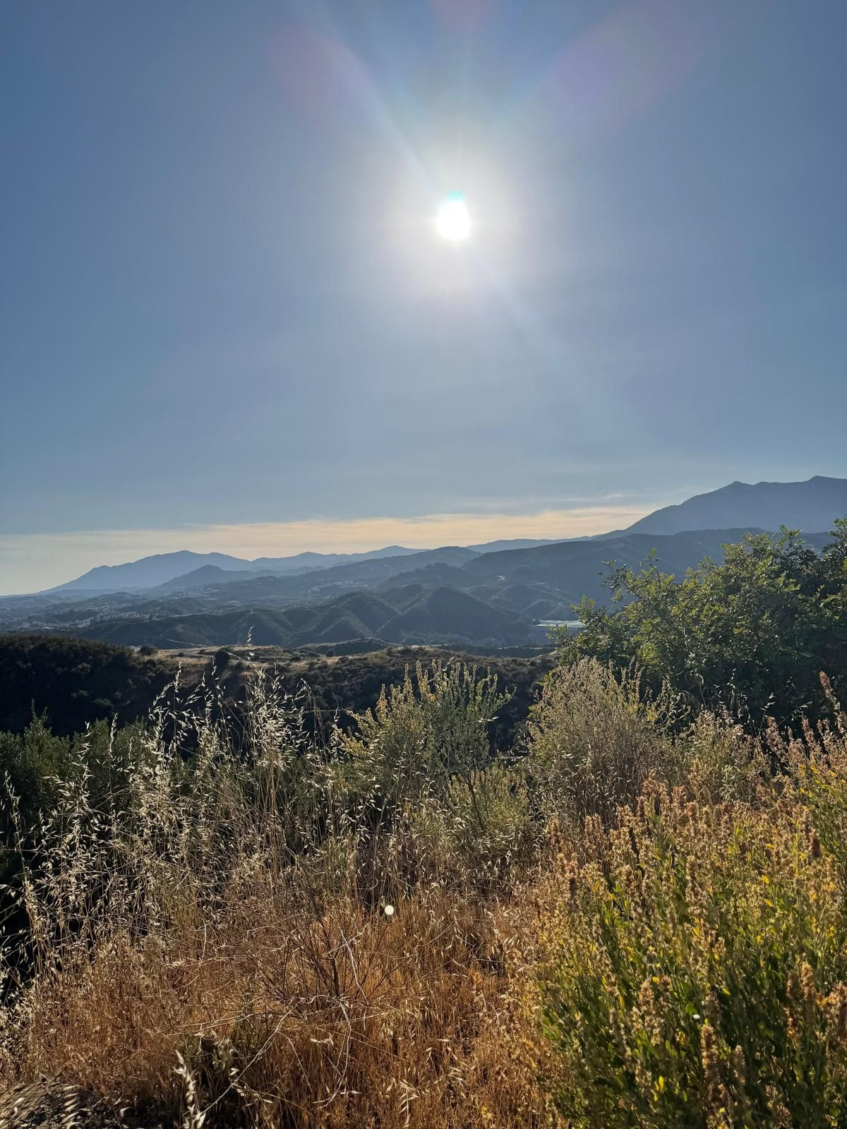 Plots for sale in Sierra Blanca Costa Del Sol, Málaga, Spain