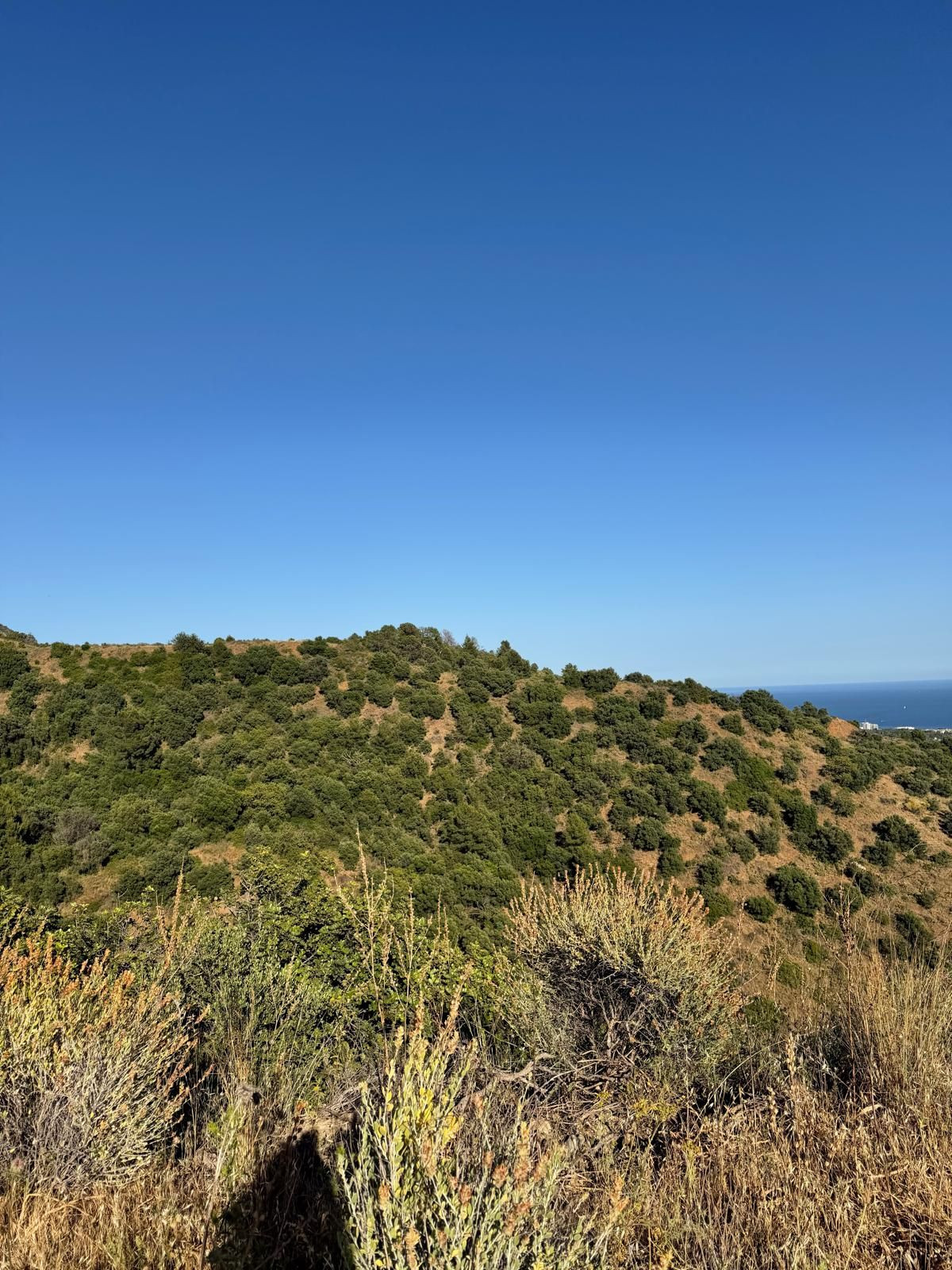 Plots for sale in Sierra Blanca Costa Del Sol, Málaga, Spain