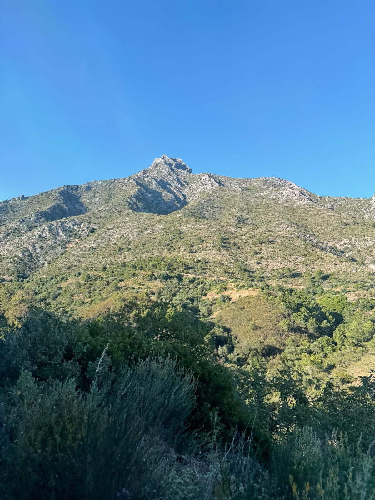 Plots for sale in Sierra Blanca Costa Del Sol, Málaga, Spain