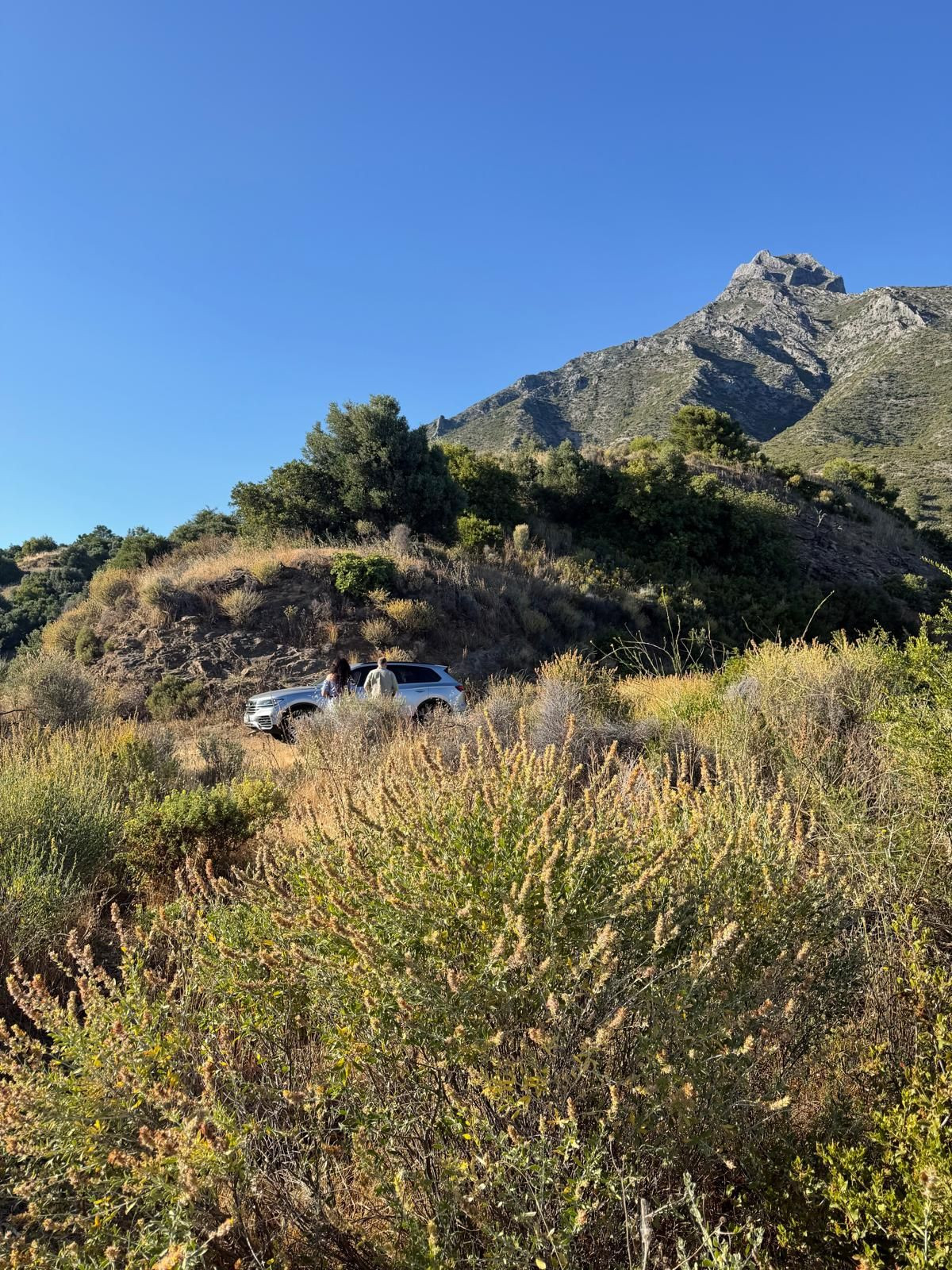 Plots for sale in Sierra Blanca Costa Del Sol, Málaga, Spain
