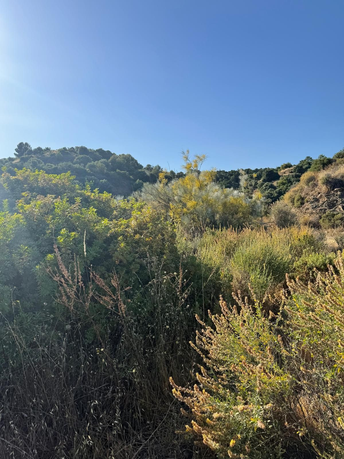 Plots for sale in Sierra Blanca Costa Del Sol, Málaga, Spain