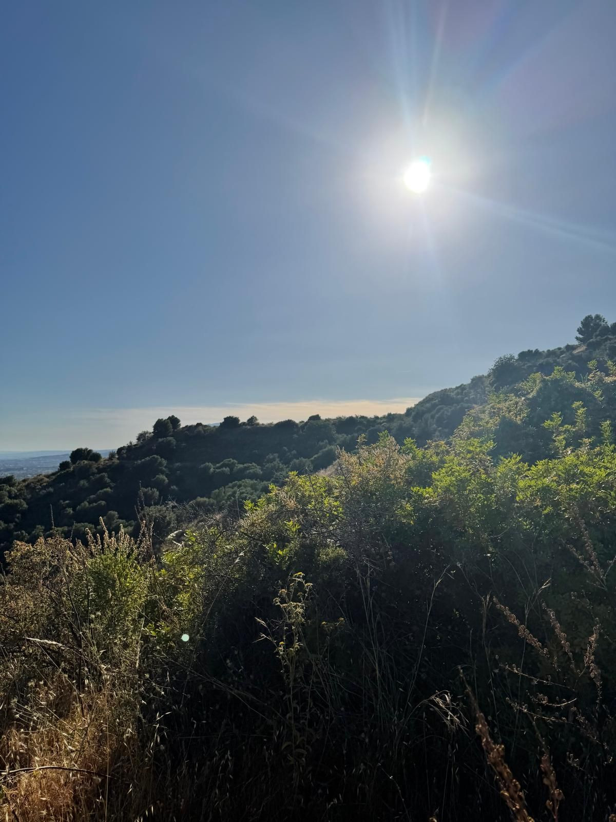 Plots for sale in Sierra Blanca Costa Del Sol, Málaga, Spain
