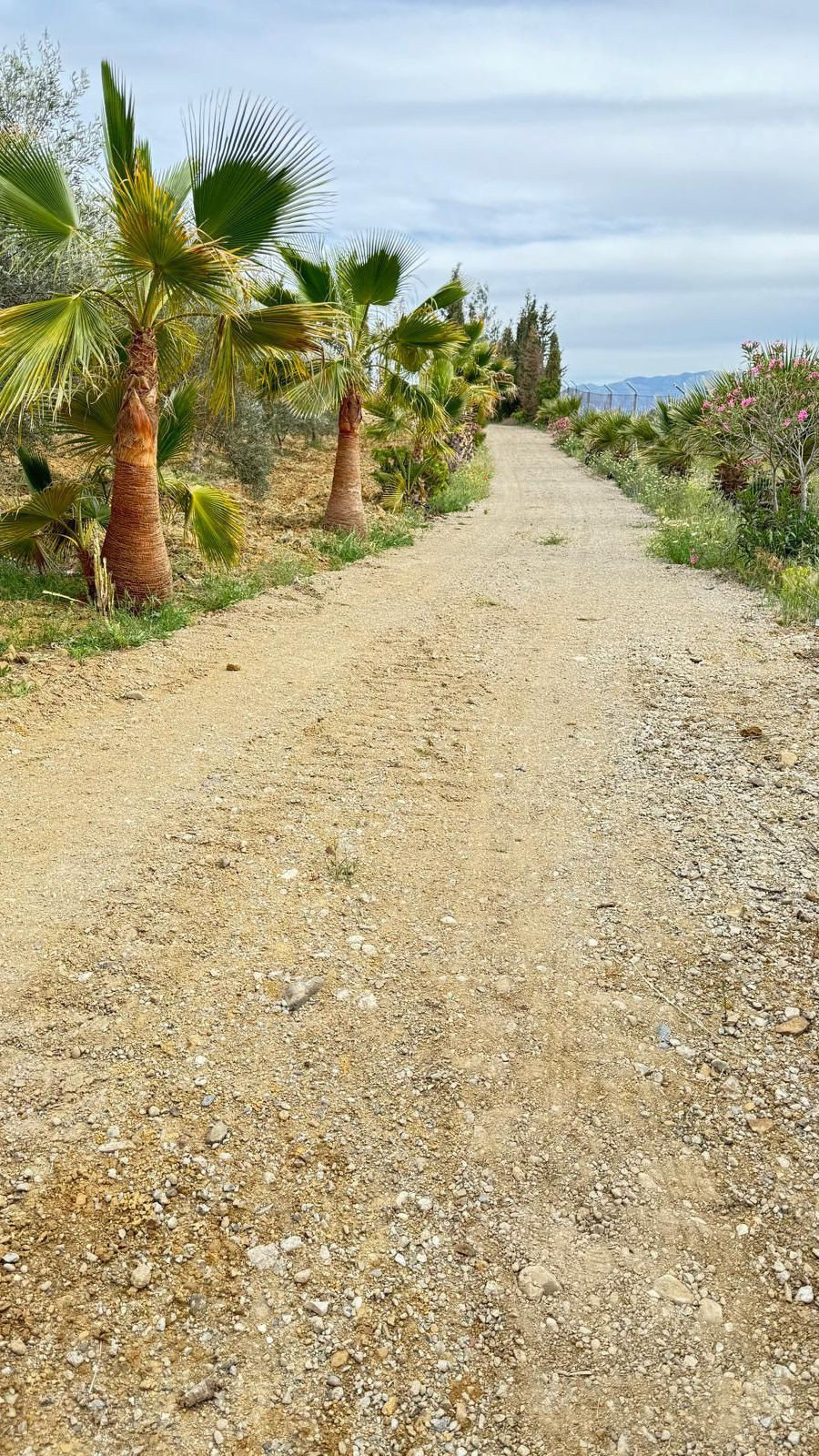 Se vende Finca - Cortijo de 3 dormitorios en Costa Del Sol, Málaga, España