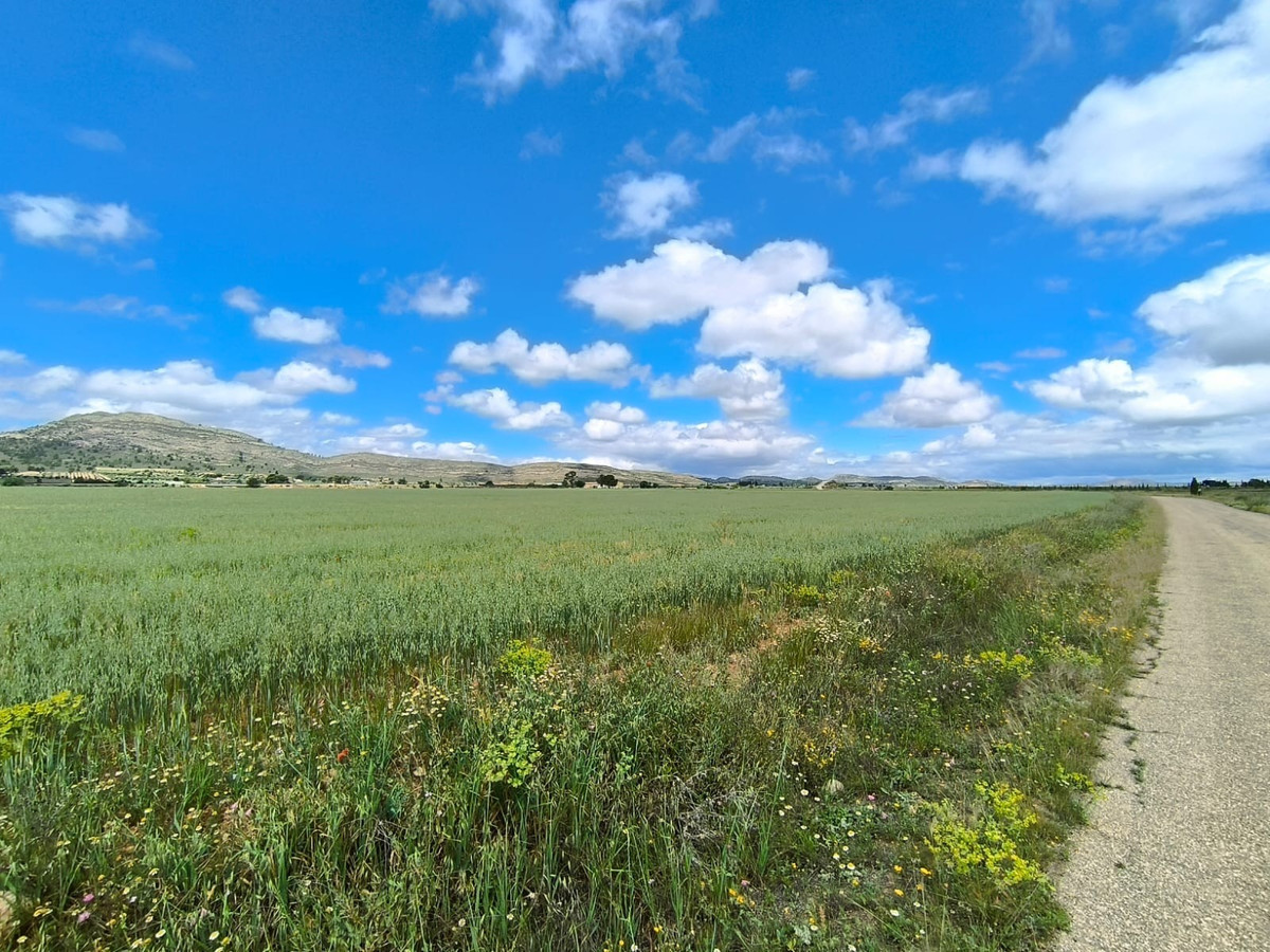 Se vende Terreno Rustico  en Costa Calida, Murcia, España