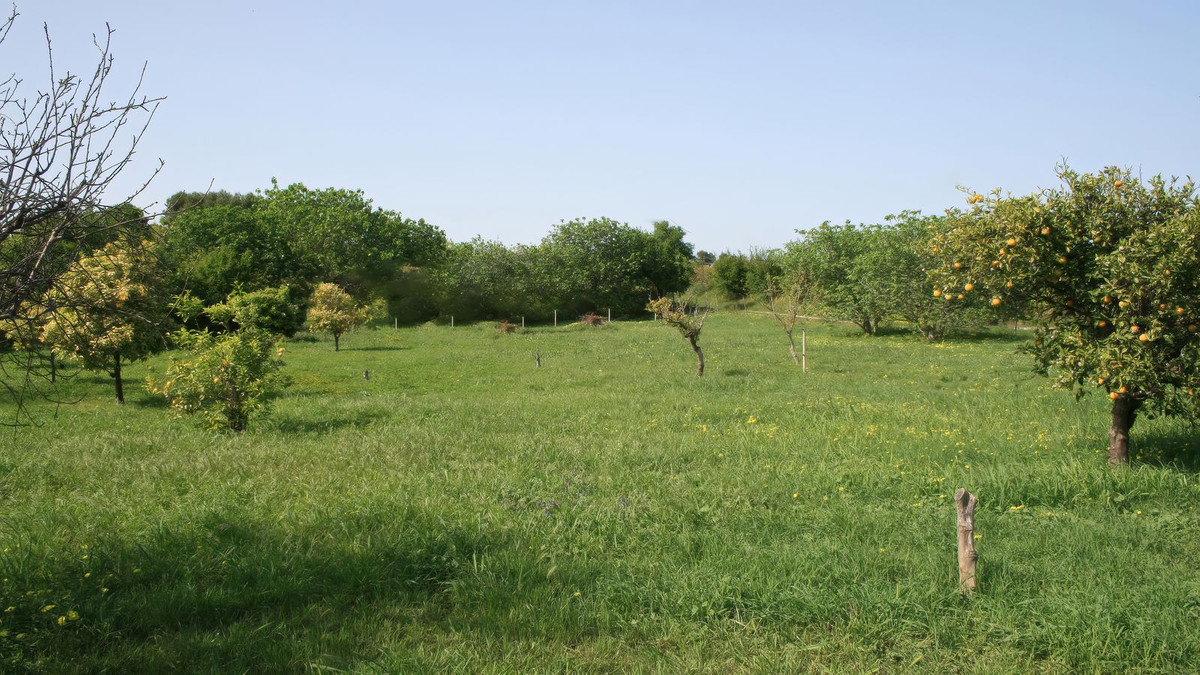 Se vende Finca - Cortijo de 3 dormitorios en Costa Del Sol, Málaga, España