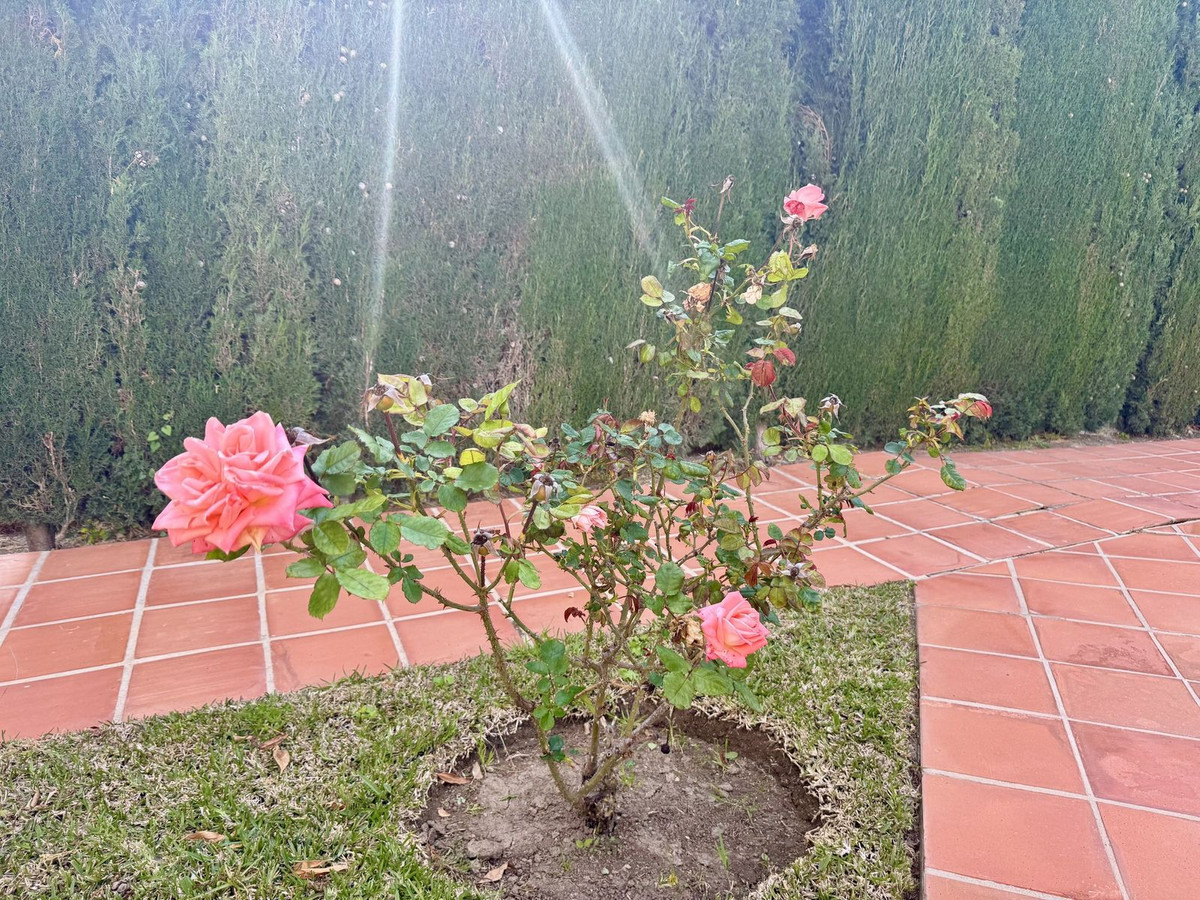 Se vende Apartamento Planta Baja de 1 dormitorios en Costa Del Sol, Málaga, España