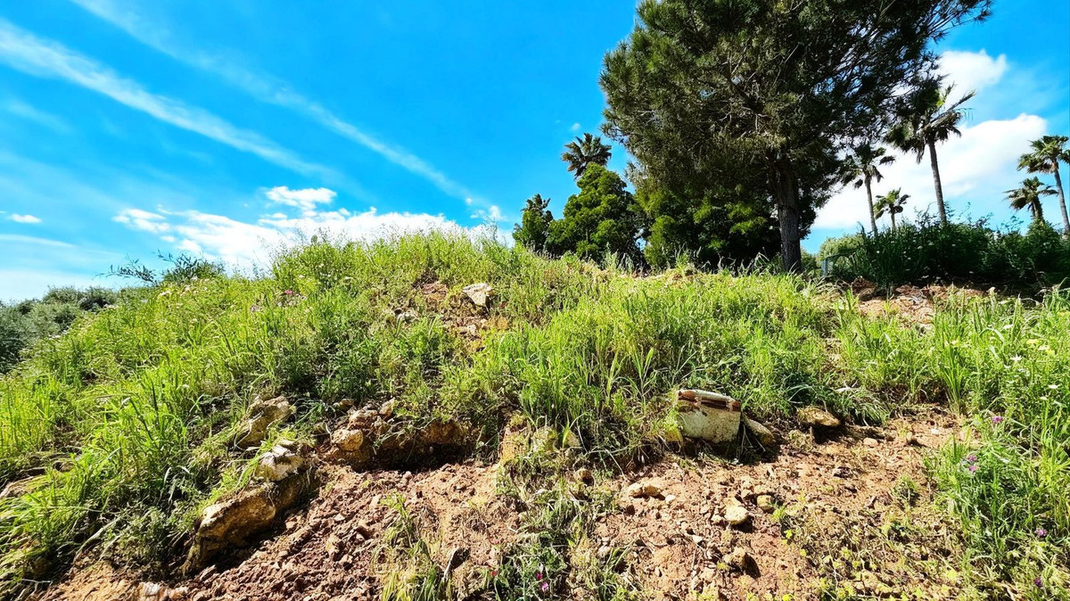 Plots for sale in Sotogrande Costa Del Sol, Cádiz, Spain