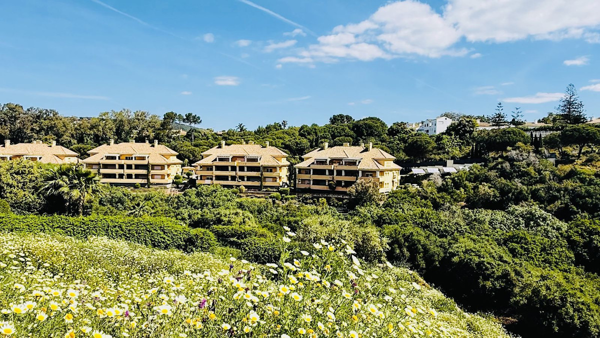 Plots for sale in Sotogrande Costa Del Sol, Cádiz, Spain