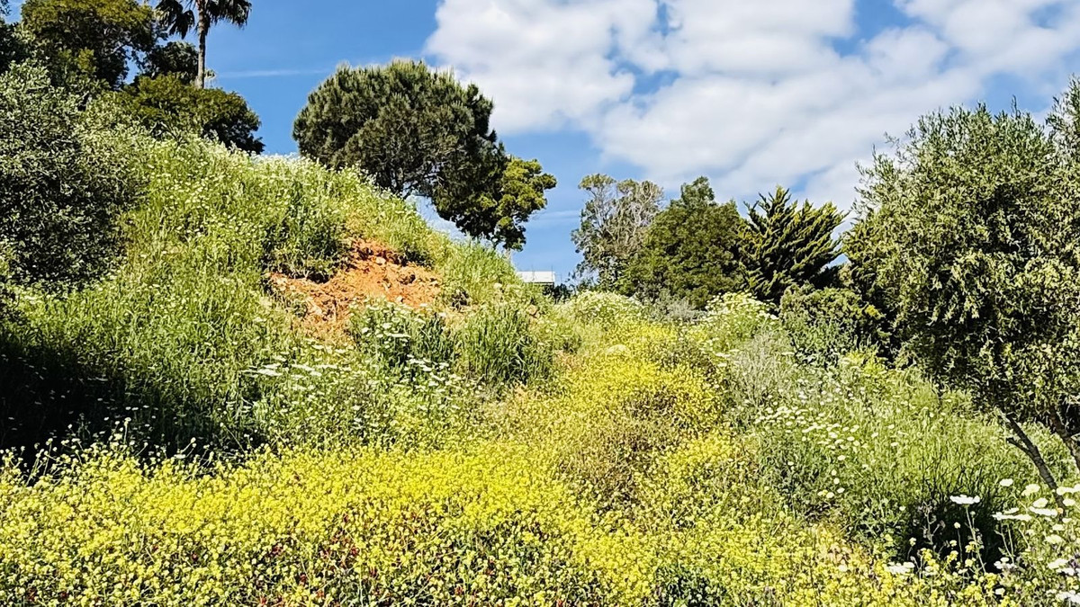 Plots for sale in Sotogrande Costa Del Sol, Cádiz, Spain