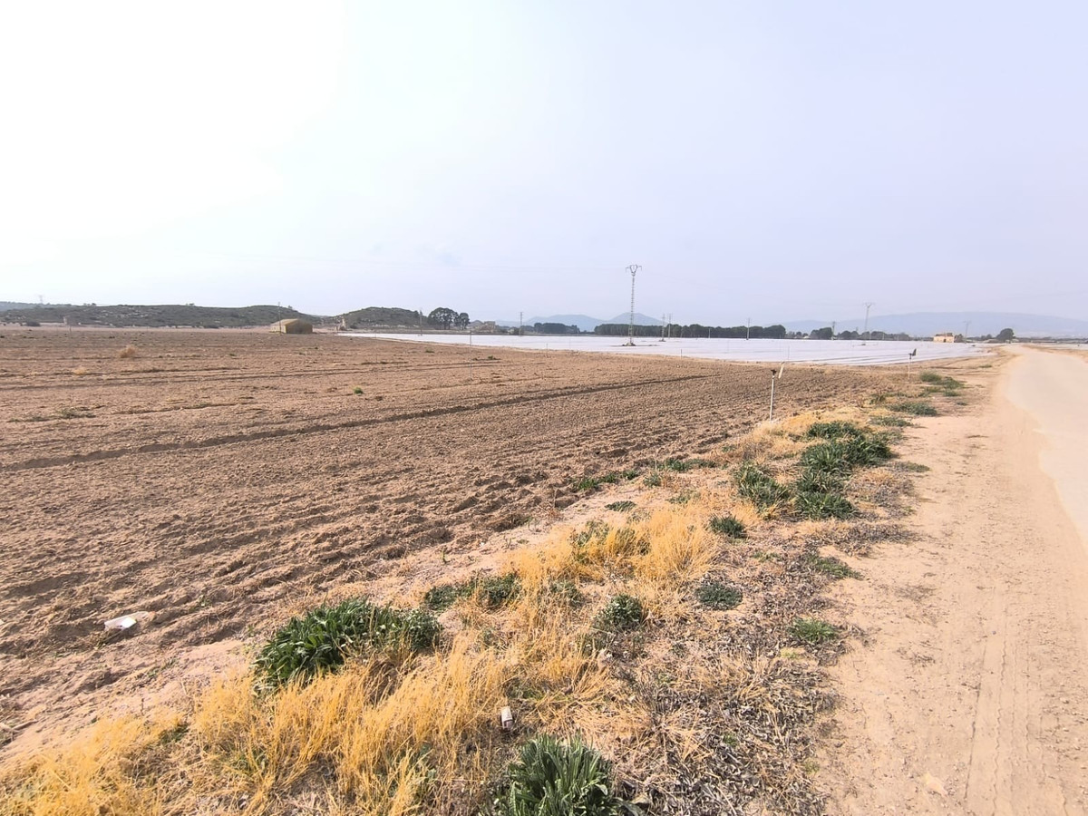 Plots for sale in Villena Costa Blanca, Alicante, Spain
