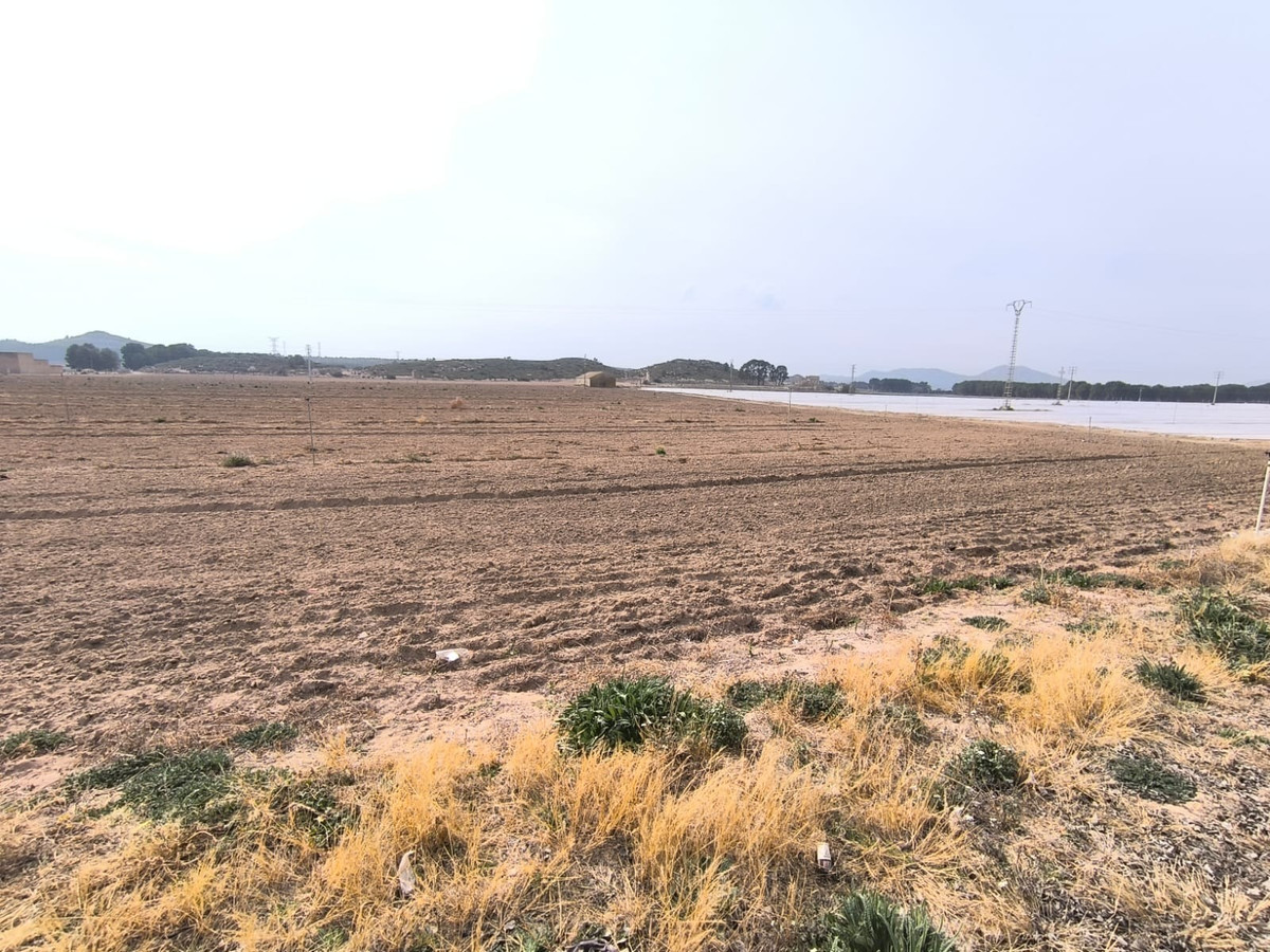 Plots for sale in Villena Costa Blanca, Alicante, Spain
