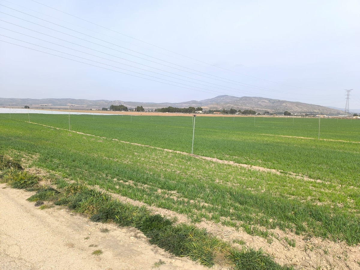 Plots for sale in Villena Costa Blanca, Alicante, Spain