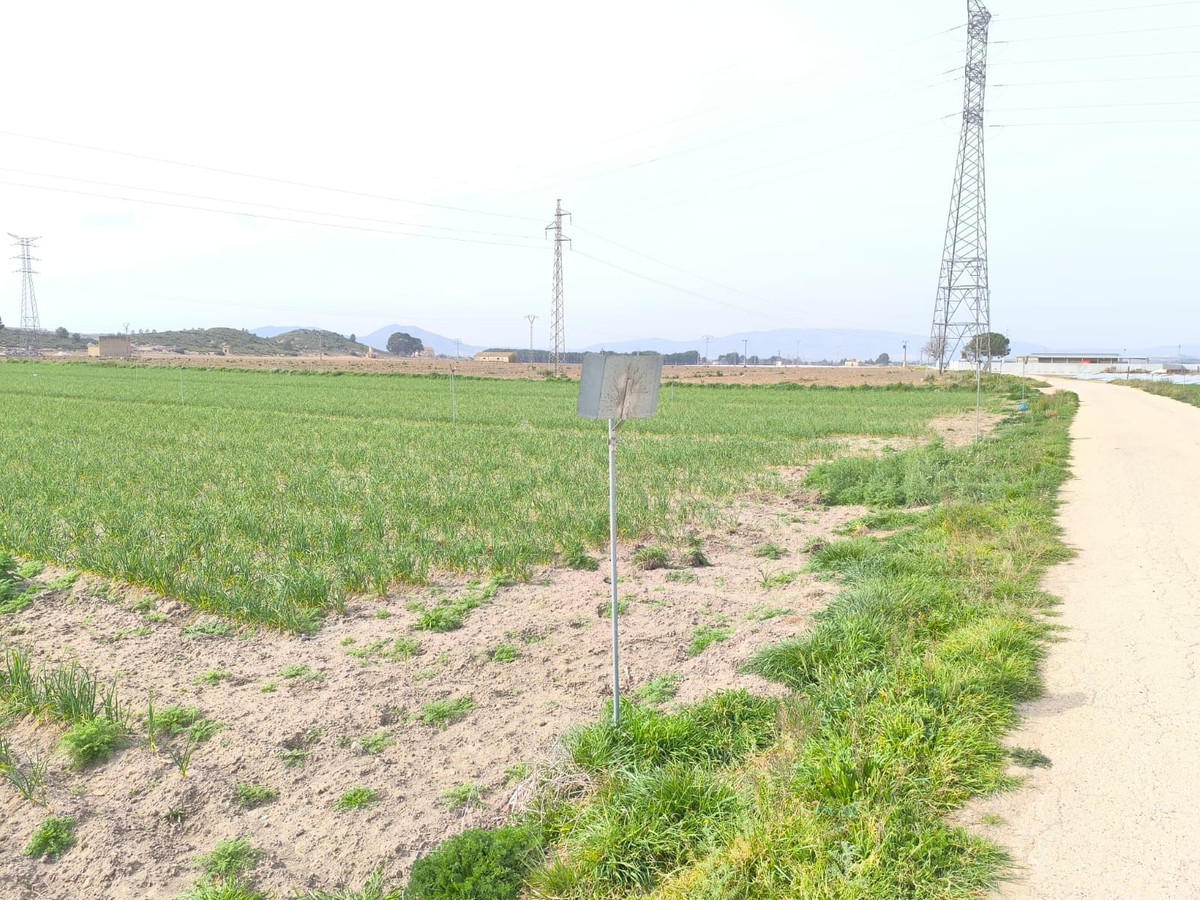 Plots for sale in Villena Costa Blanca, Alicante, Spain