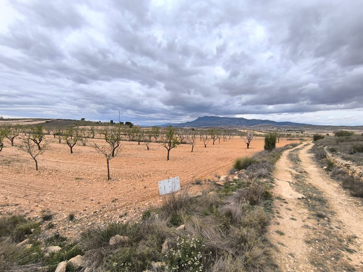 Se vende Terreno Rustico  en Costa Blanca, Alicante, España
