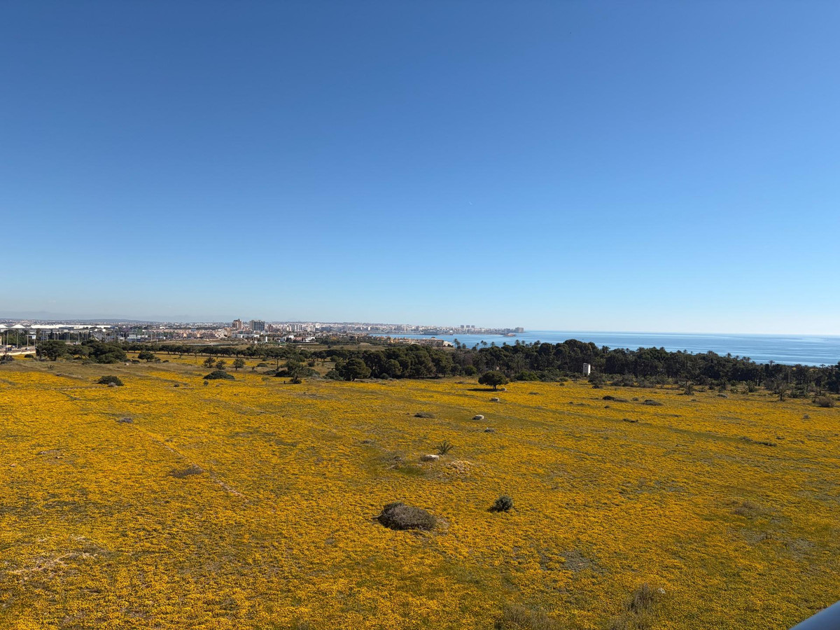 2 Bed Apartment for sale in Punta Prima Costa Blanca, Alicante, Spain