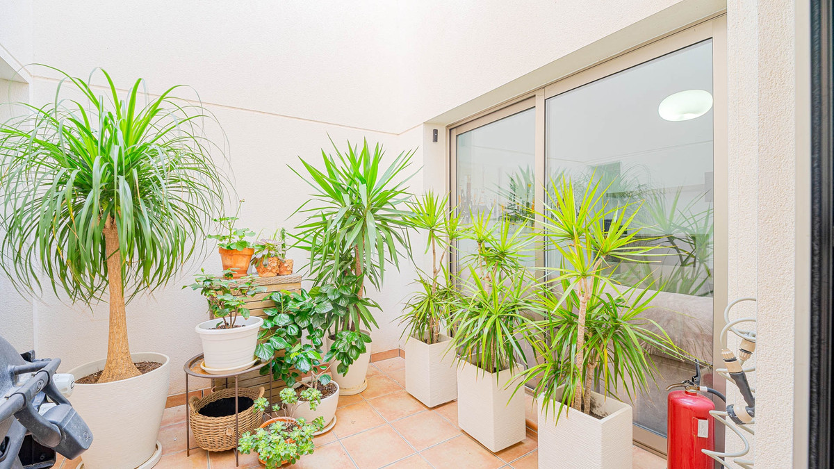 Se vende Adosada de 3 dormitorios en Costa Blanca, Alicante, España