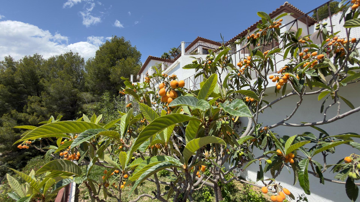 5 Bed Townhouse for sale in Altea Costa Blanca, Alicante, Spain