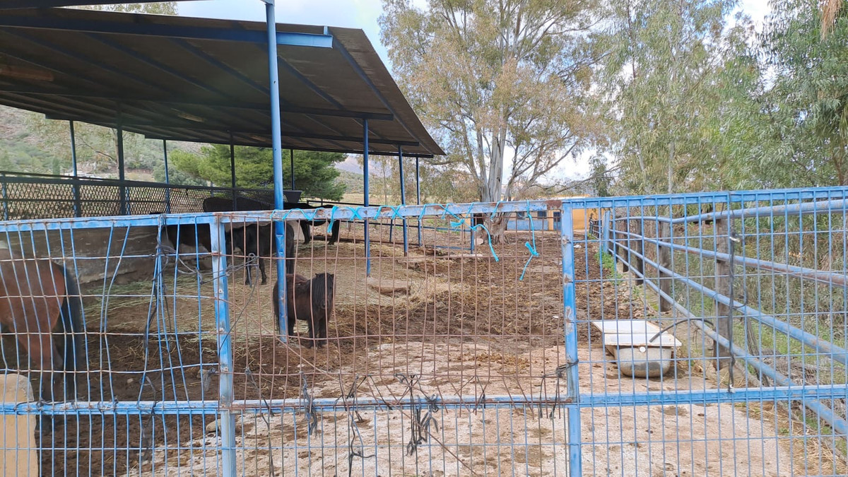 Se vende Otro de 8 dormitorios en Costa Del Sol, Málaga, España