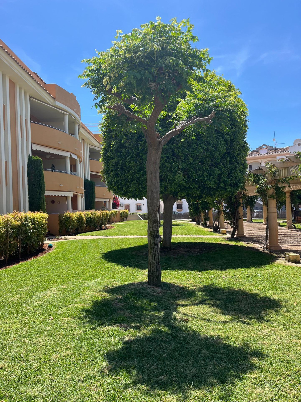 2 Bed Apartment for sale in Denia Costa Blanca, Alicante, Spain
