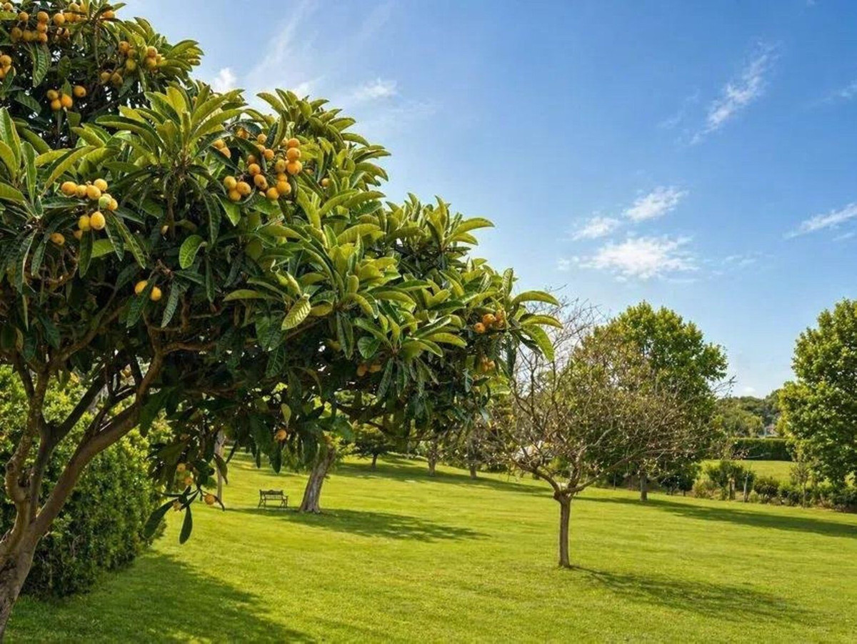 Se vende Apartamento Planta Baja de 2 dormitorios en Costa Del Sol, Málaga, España