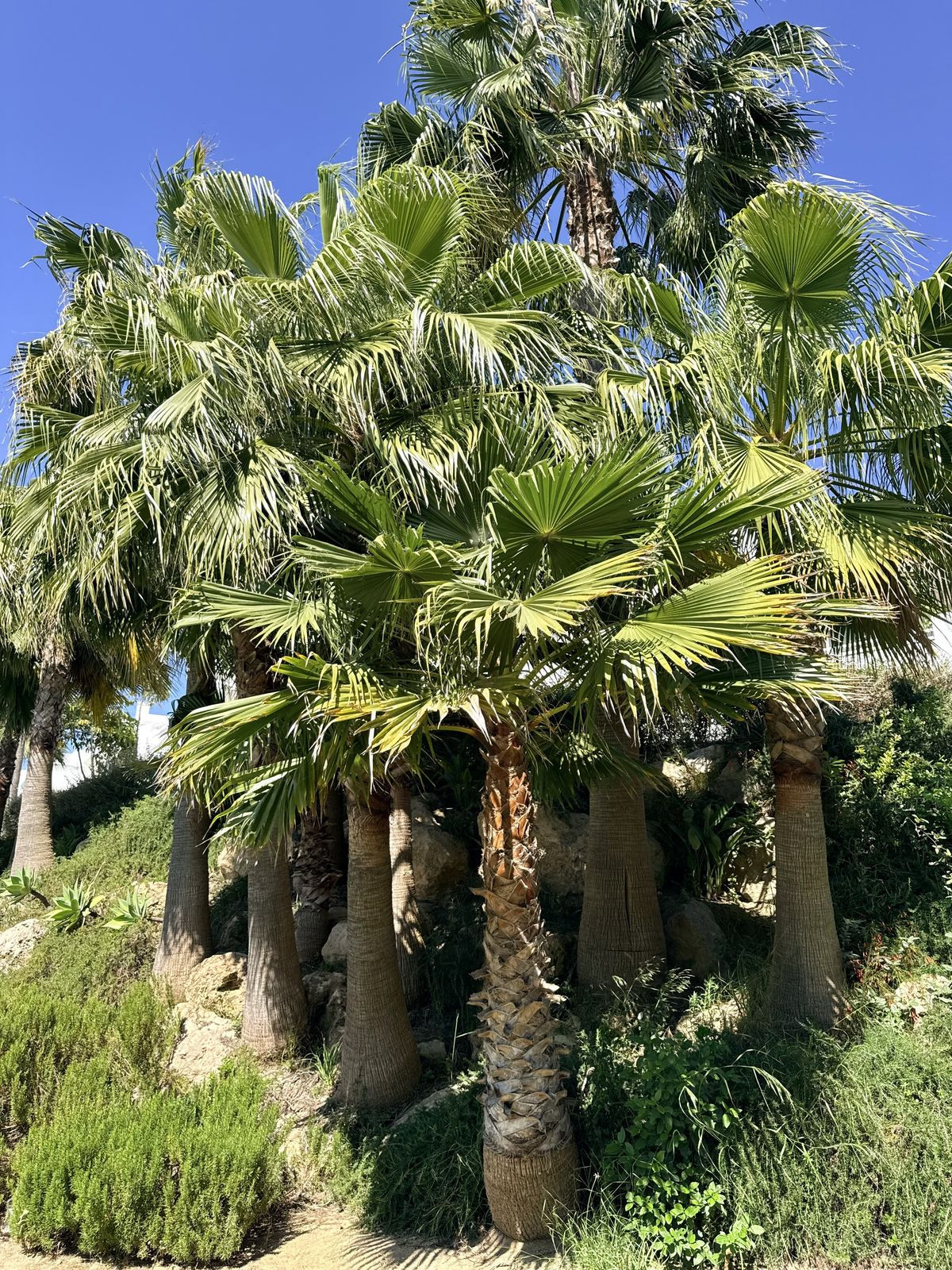 2 Bed Apartment for sale in Estepona Costa Del Sol, Málaga, Spain
